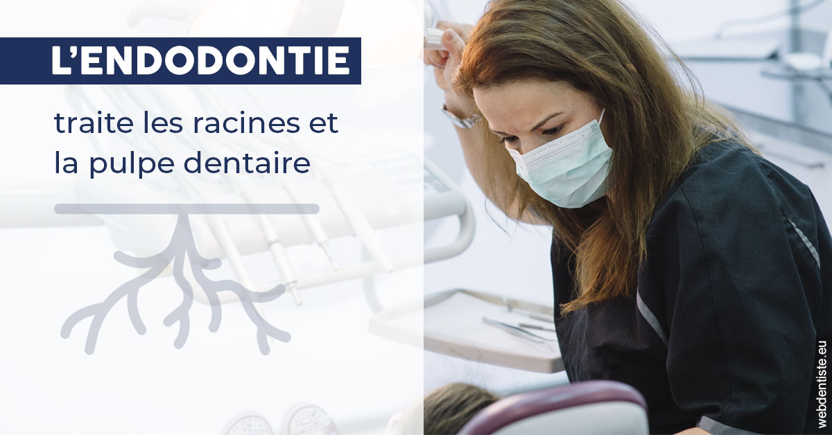 https://www.marcbodsondentiste.be/L'endodontie 1