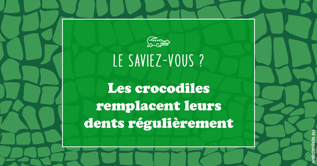 https://www.marcbodsondentiste.be/Crocodiles 1